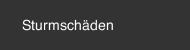 Sturmsch&auml;den