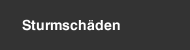 Sturmsch&auml;den